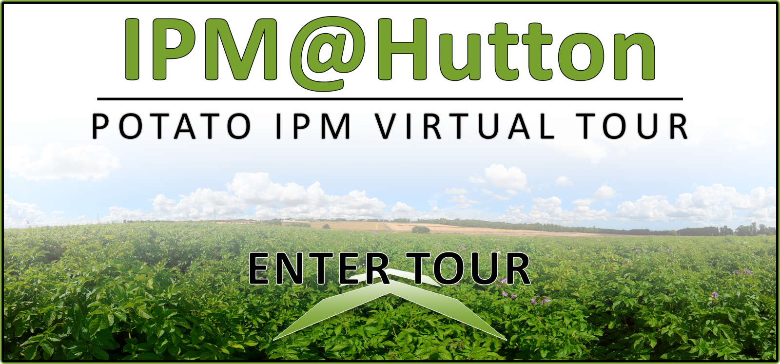 IPM Virtual Tour