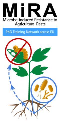 Microbe-induced Resistance to Agricultural Pests