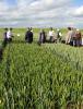 Stakeholders attending cereals event - Image by David Riley © The James Hutton Institute