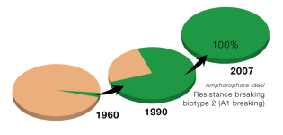 By over-reliance on single resistance genes in raspberry, large raspberry biotypes have co-evolved to overcome this strategy.