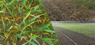 soil cultivation